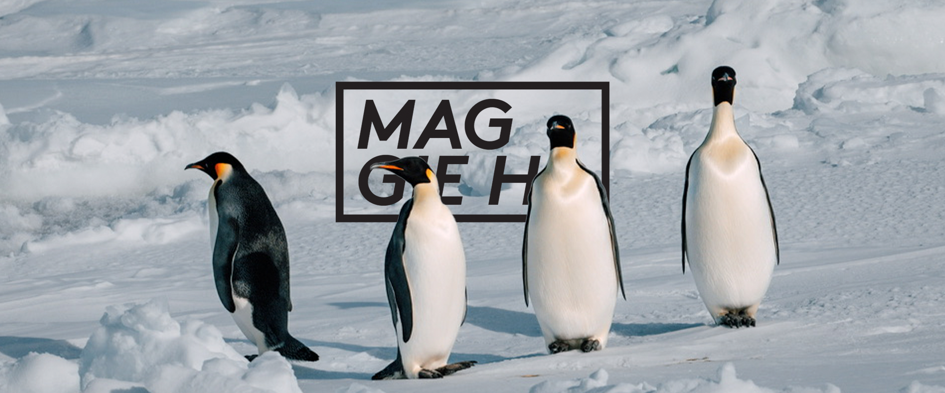 maggie-artboard06